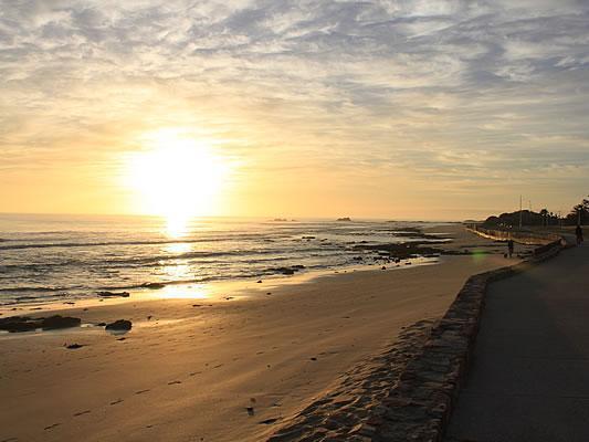 Bayside Guesthouse Port Elizabeth Exterior photo