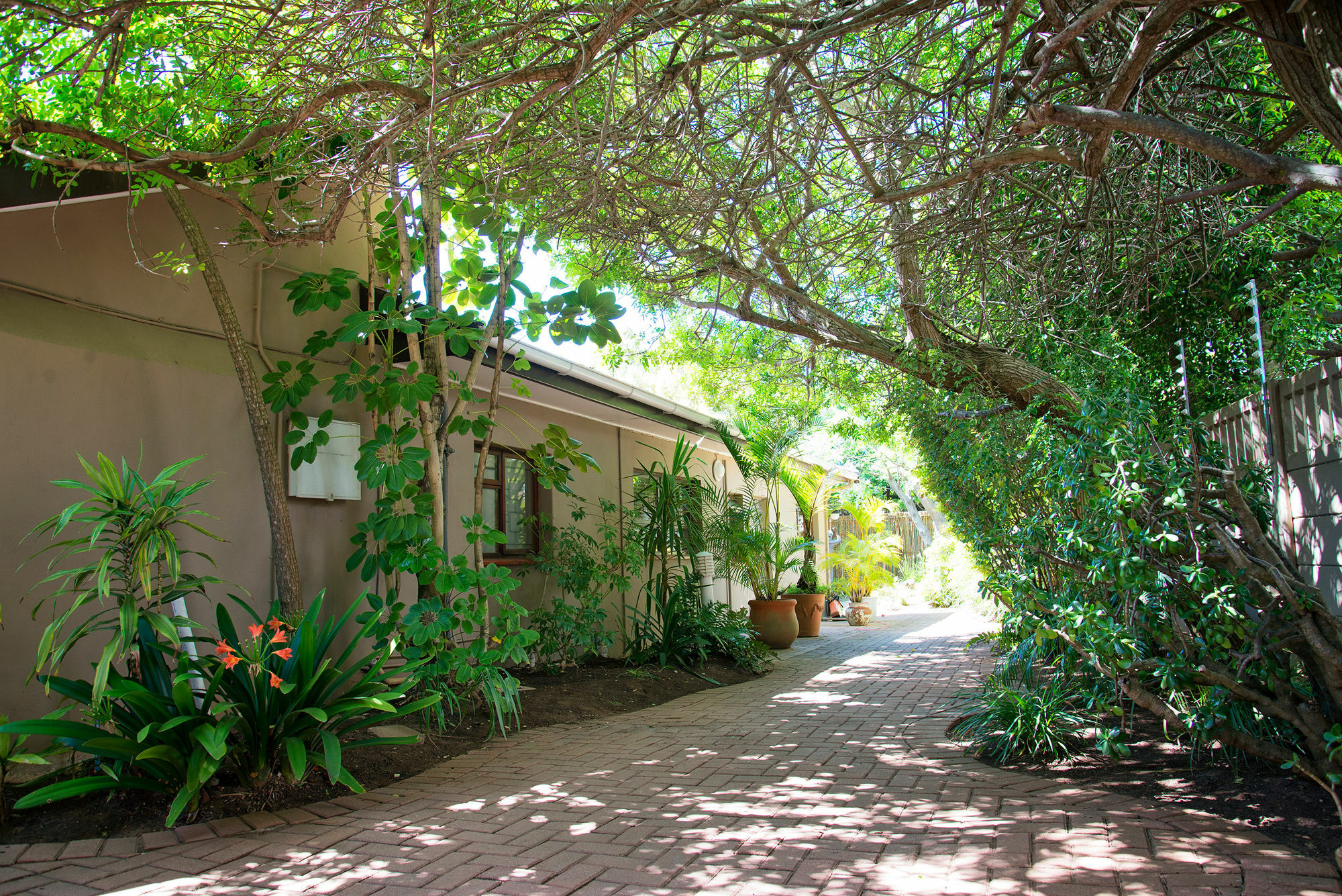 Bayside Guesthouse Port Elizabeth Exterior photo